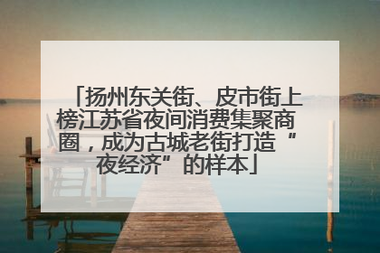 扬州东关街、皮市街上榜江苏省夜间消费集聚商圈，成为古城老街打造“夜经济”的样本